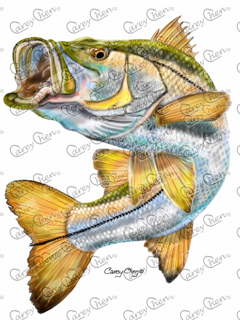 Short Sleeve Unisex T-Shirt – 'Snook 78' Original Art by Carey Chen