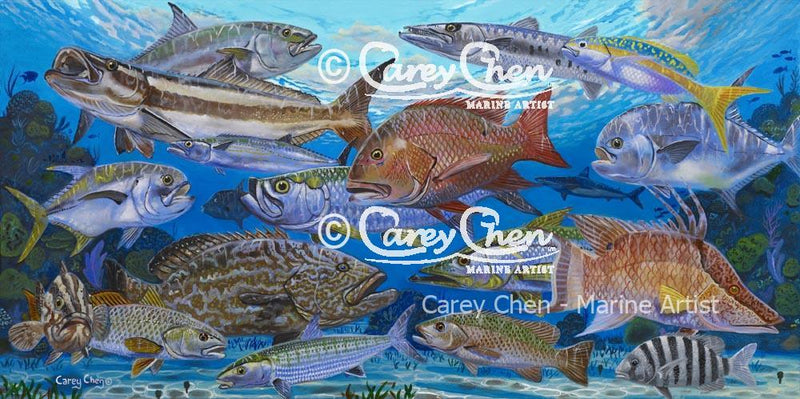 Inshore Species (Framed)