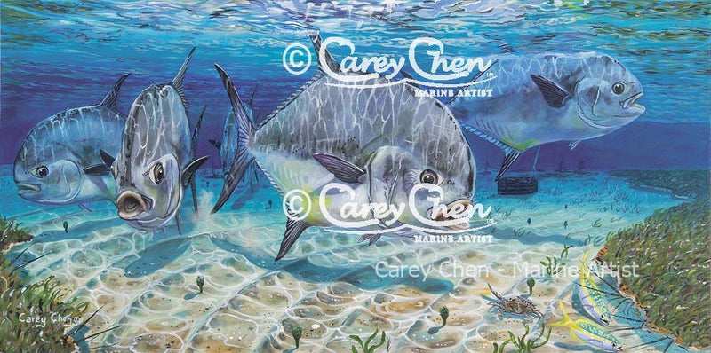 Biscayne Permits (Framed)