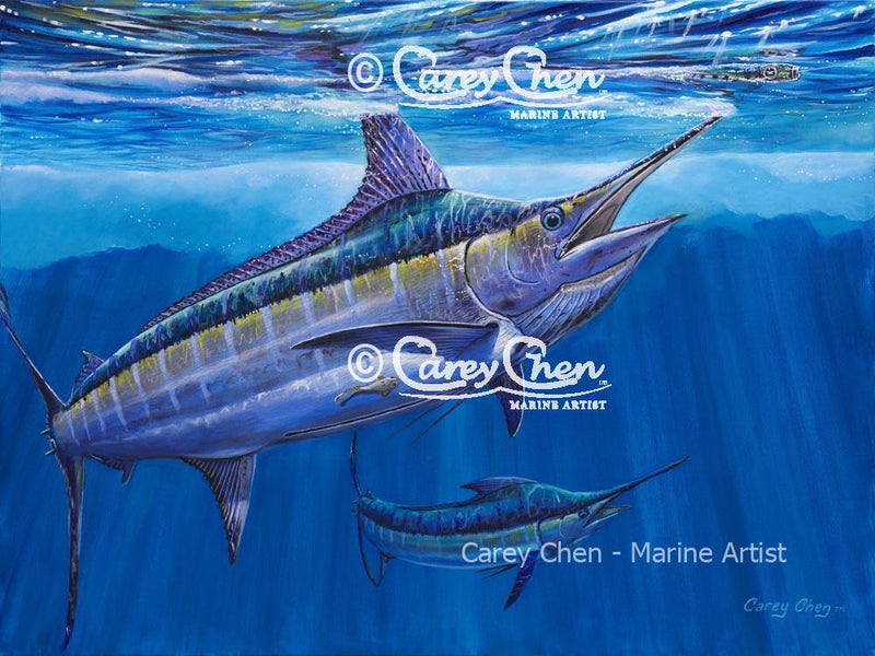 Blue Marlin Bite (Framed)