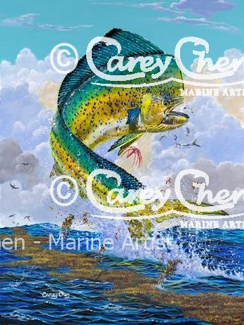 Mahi Hook Up (Framed)