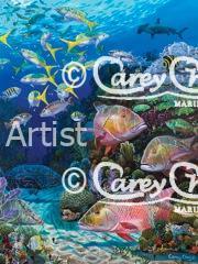 Mutton Reef (Framed)