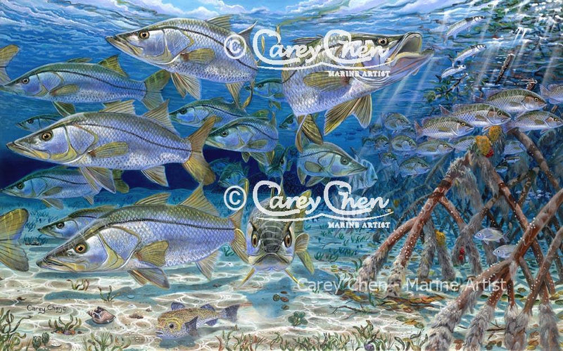 Snook Cruise (Framed)