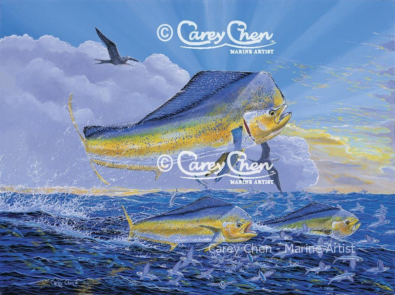 Dorado Chase (Framed)