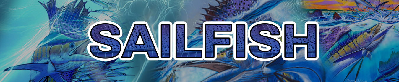 Sailfish