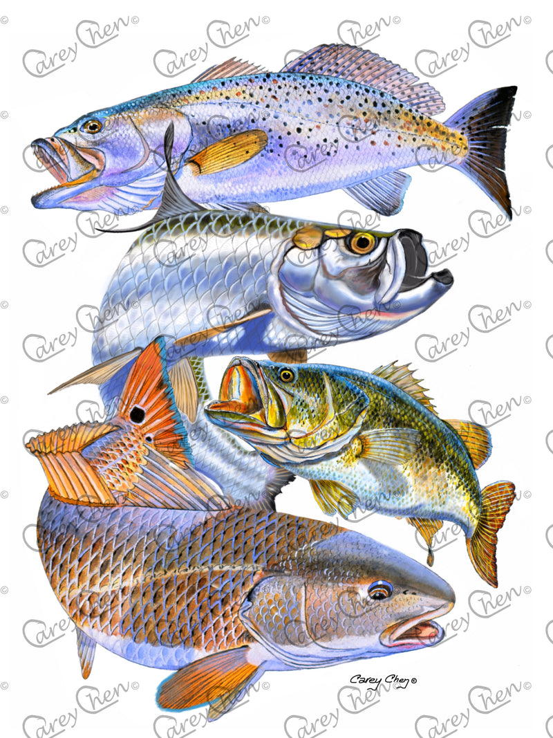 Short Sleeve Unisex T-Shirt – 'Inshore Slam' Original Art by Carey Chen