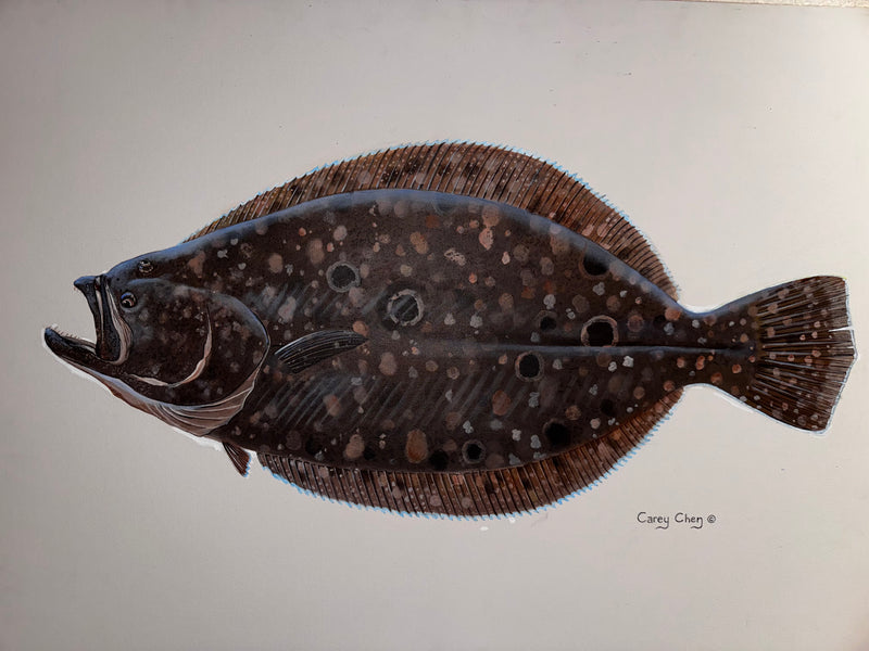 Flounder - Original Painting