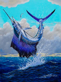 Sailfish