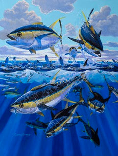 Tuna Feeding