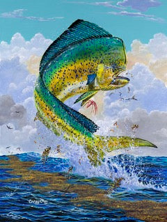 Mahi Hook Up