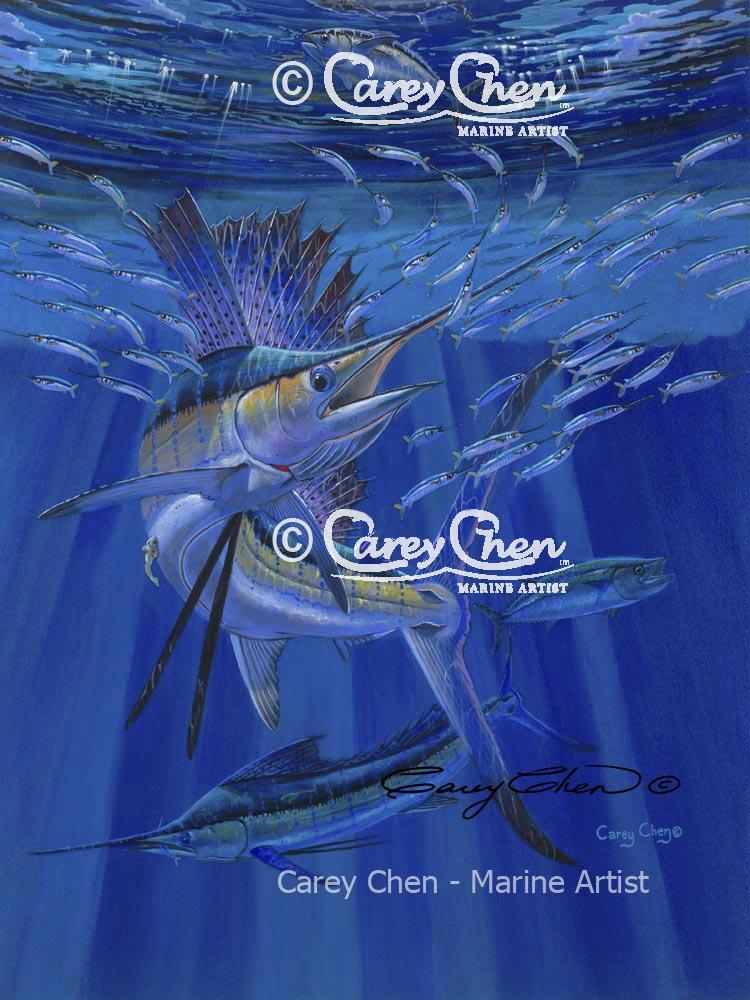 Sailfish Ballyhoo