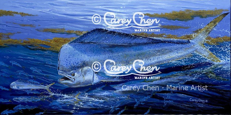 Blue Mahi (Framed)