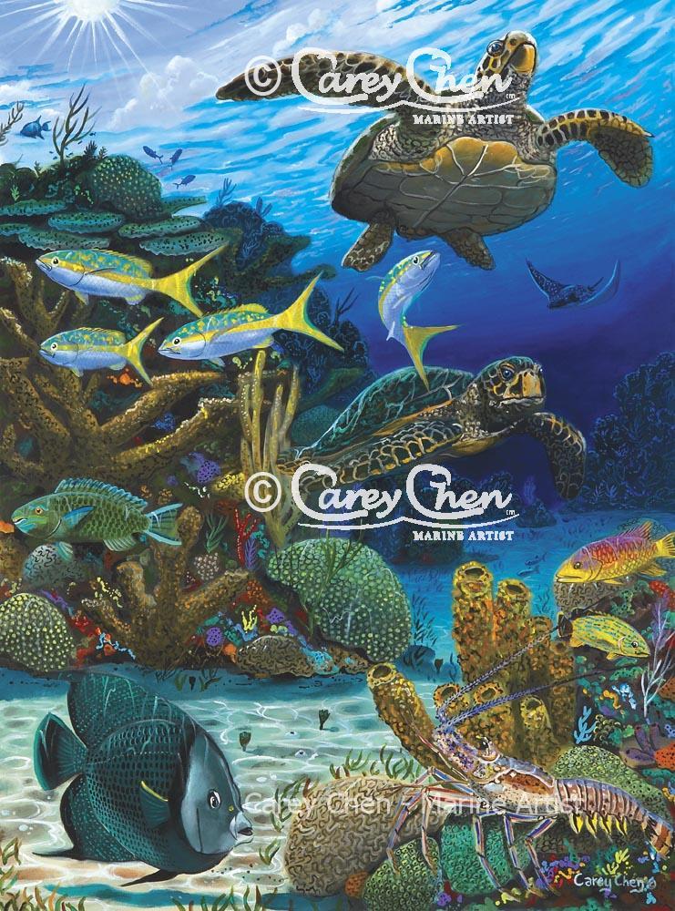 Cayman Turtles (Framed)
