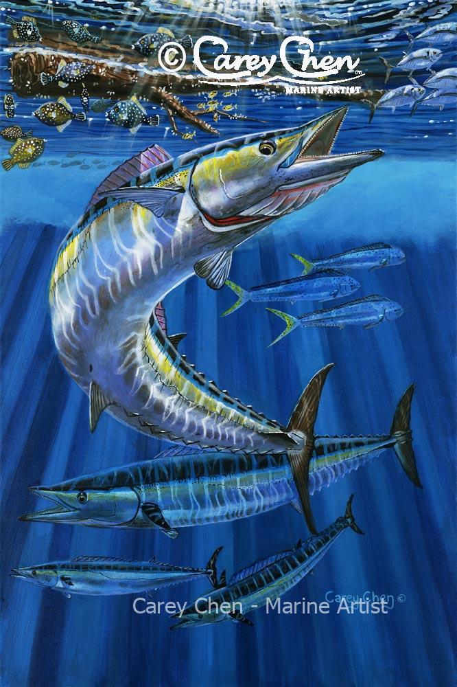 Wahoo Haven