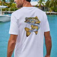 Short Sleeve Shirts